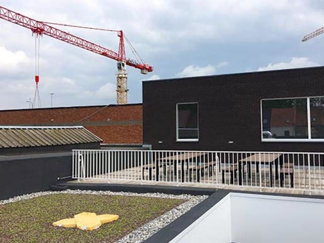Sedumdak, Gentbrugge