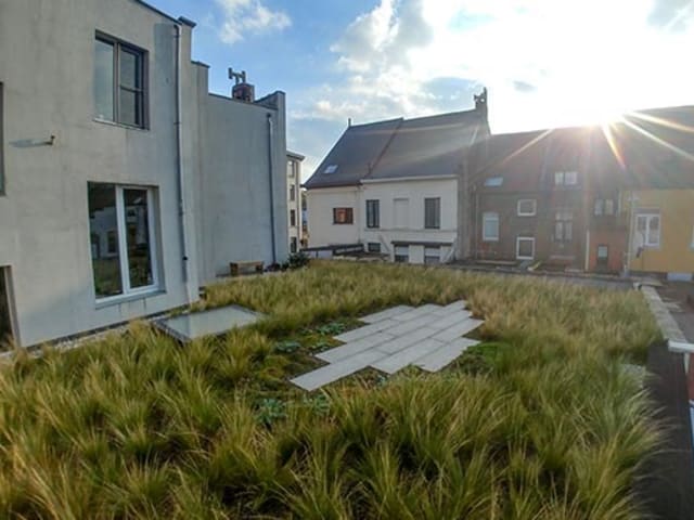 Semi-intensief groendak, Gent