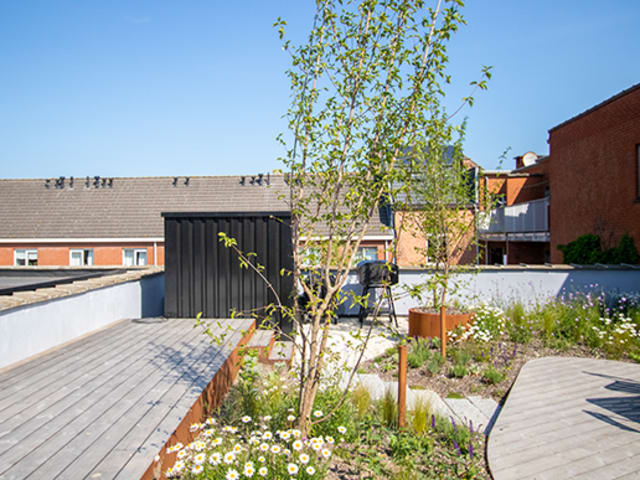 Daktuin, Gent