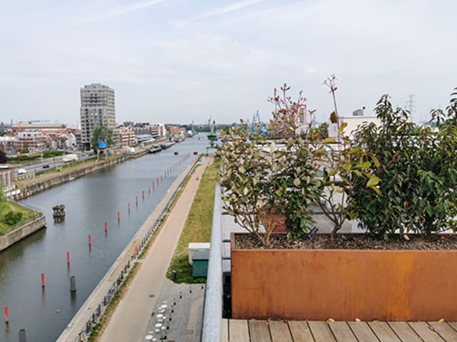 Dakterras met plantenbakken, Gent
