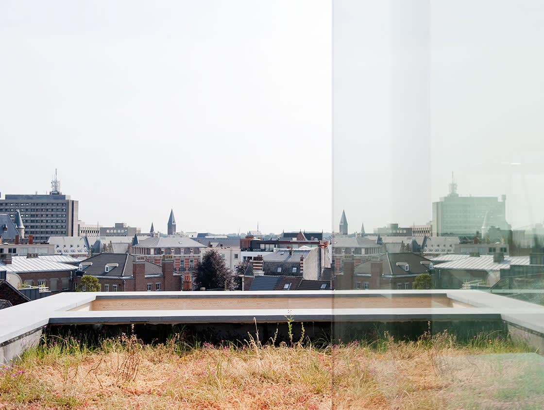 Natuurdak in Gent, foto 3