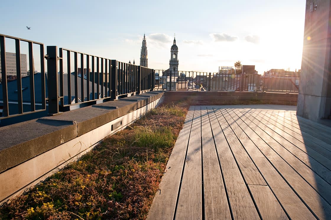 Natuurdak in Antwerpen, foto 4
