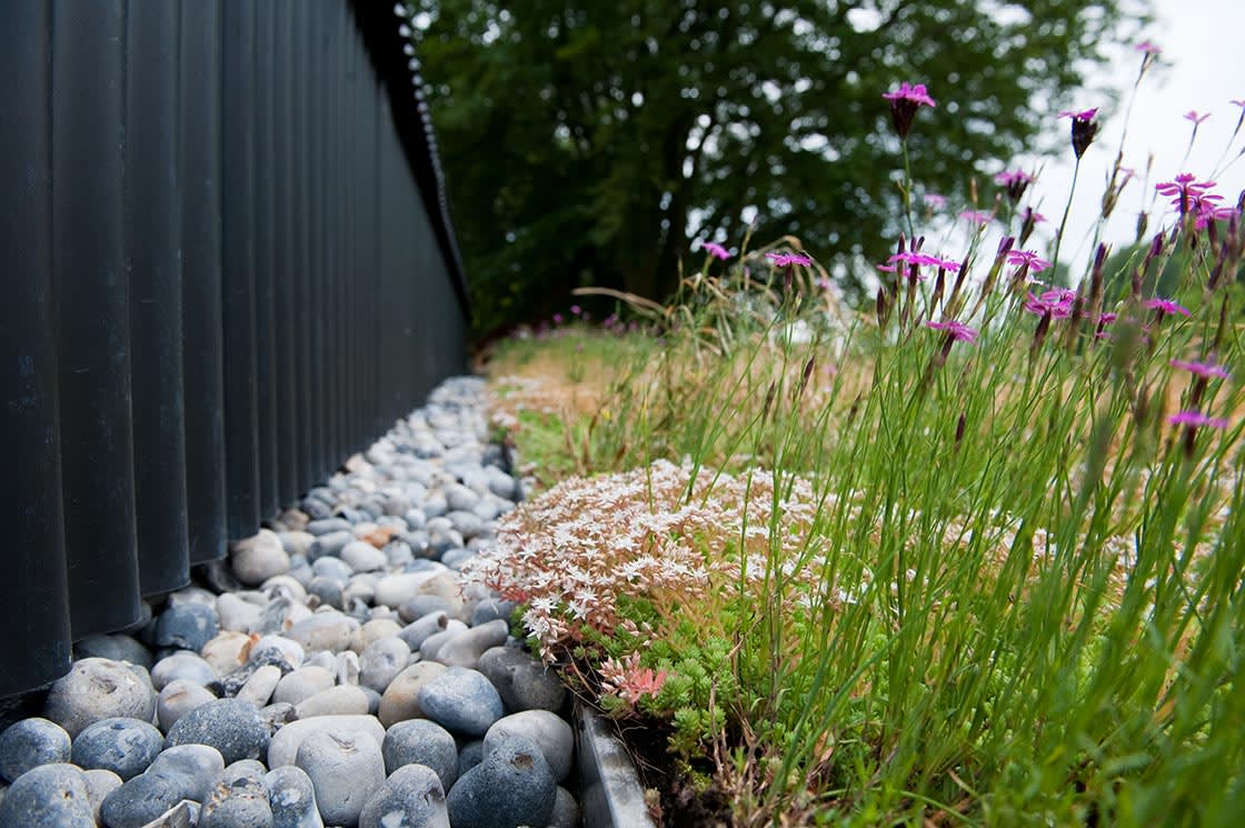 Natuurdak in Hansbeke, foto 7