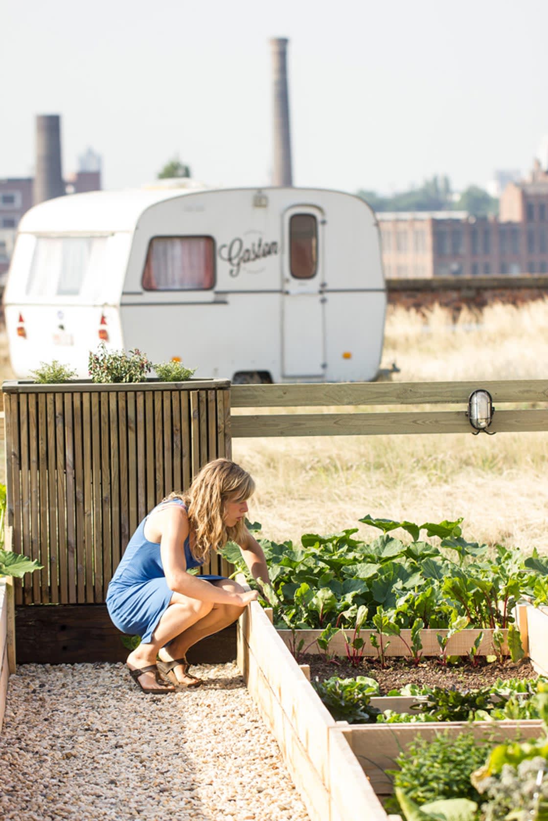Rooffood, Gaston Gent, foto 5