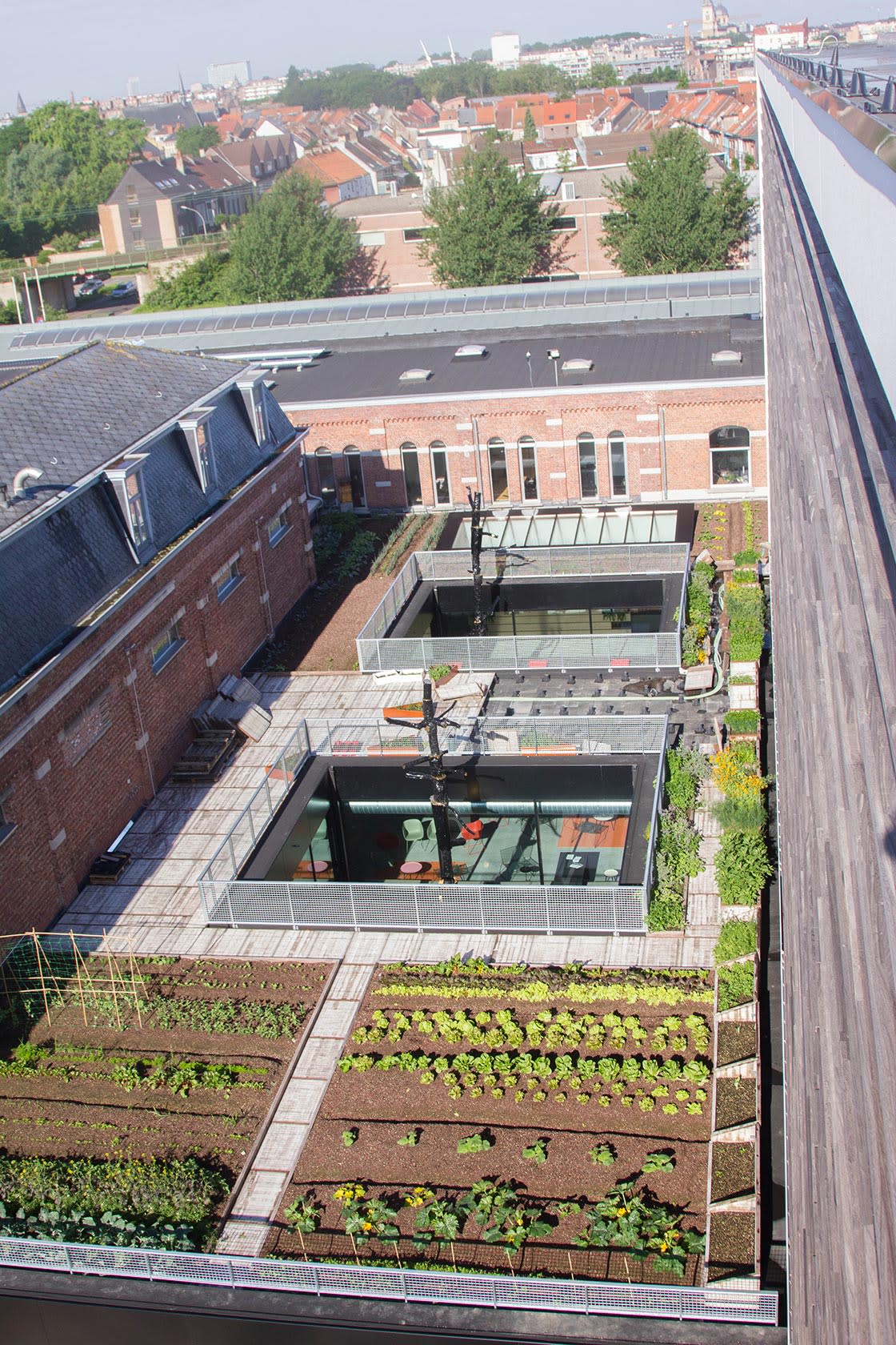 Rooffood, De Punt Gentbrugge, foto 6