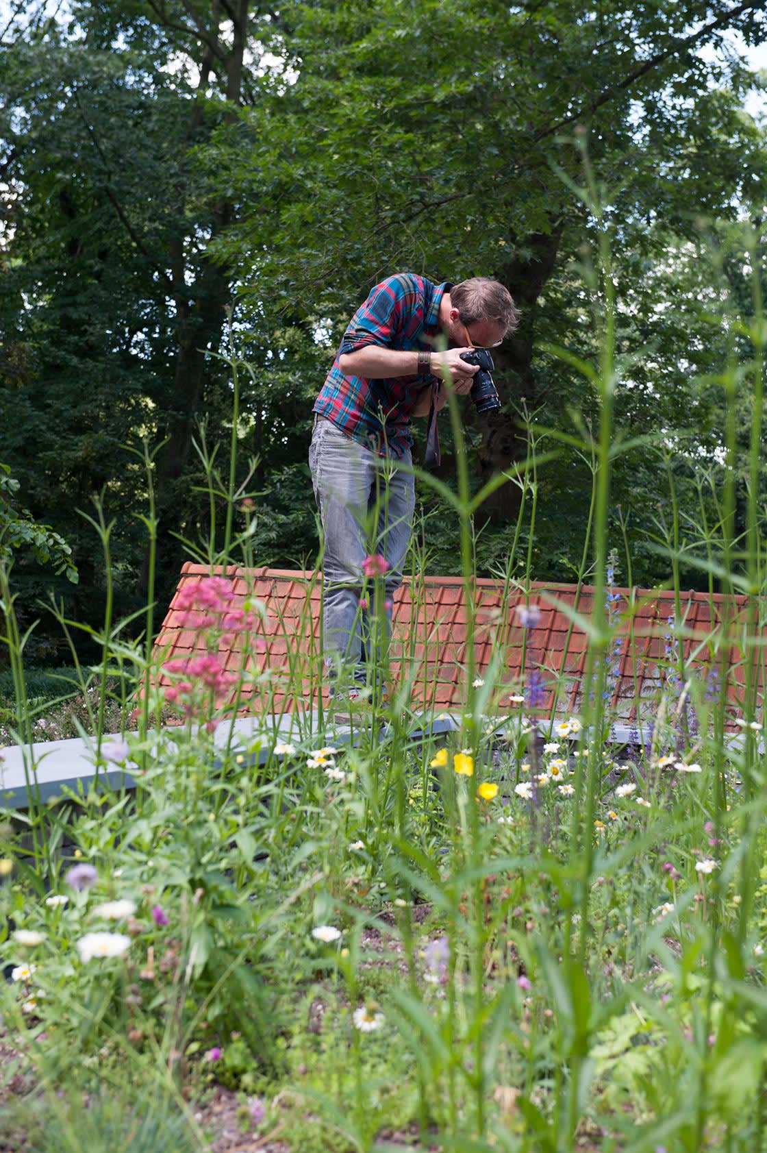 Semi-intensief groendak in Mariakerke, foto 3