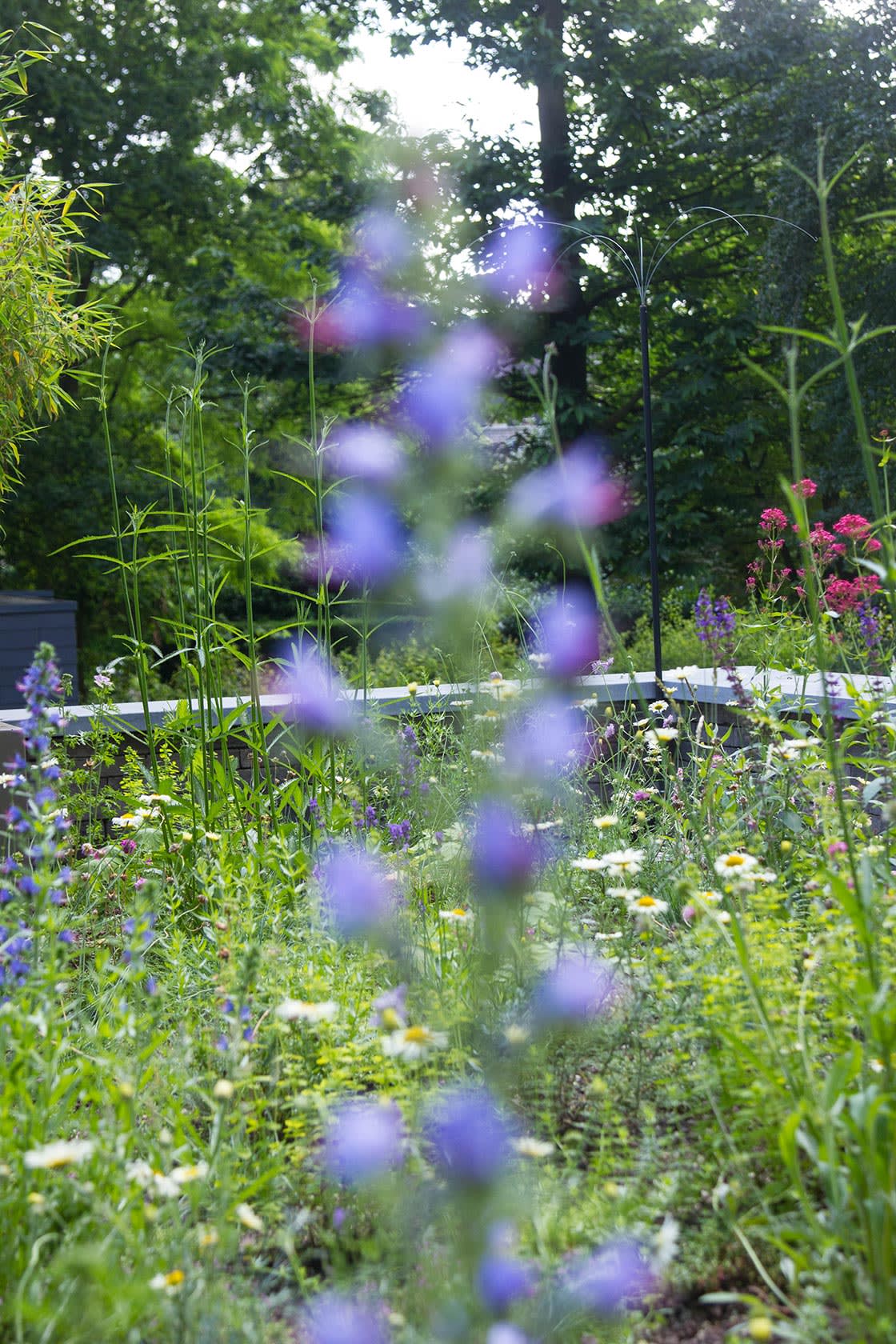 Semi-intensief groendak in Mariakerke, foto 4