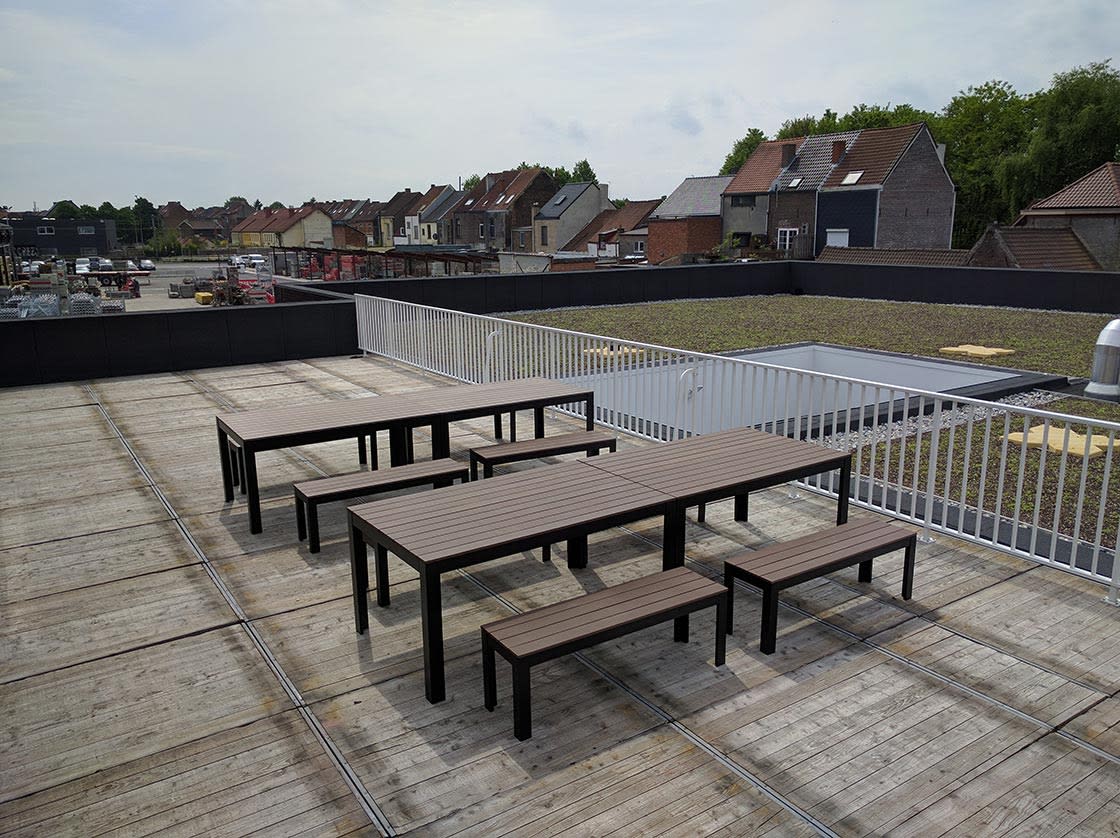 Sedumdak in Gentbrugge, foto 3