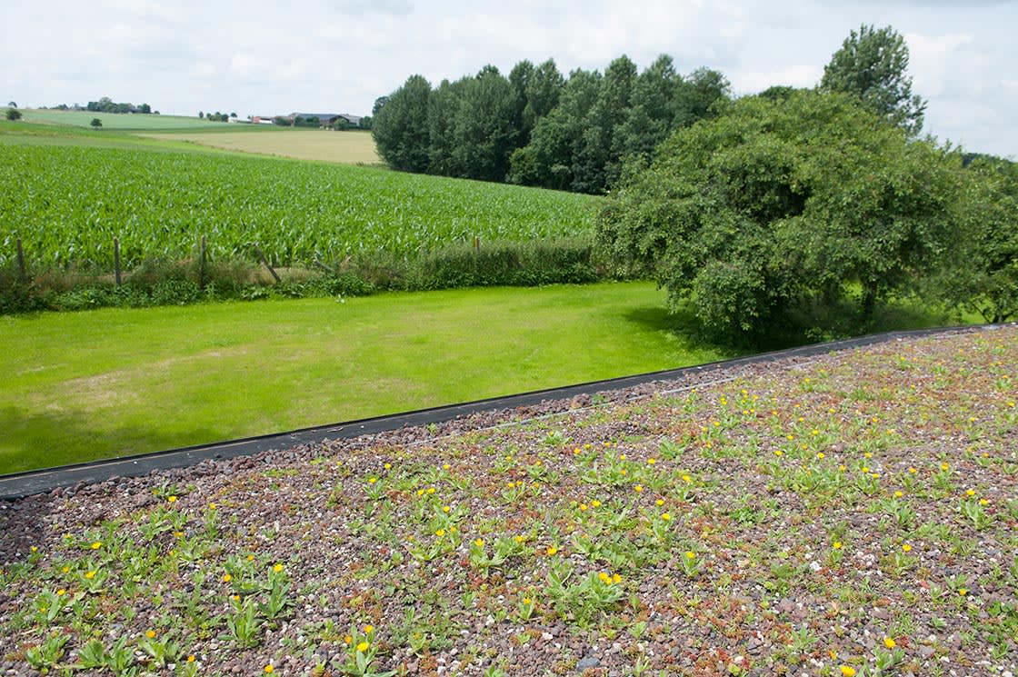 Natuurdak in Horebeke, foto 8