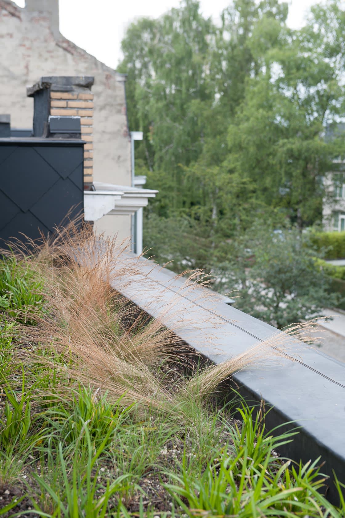 Natuurdak in Gent, foto 8