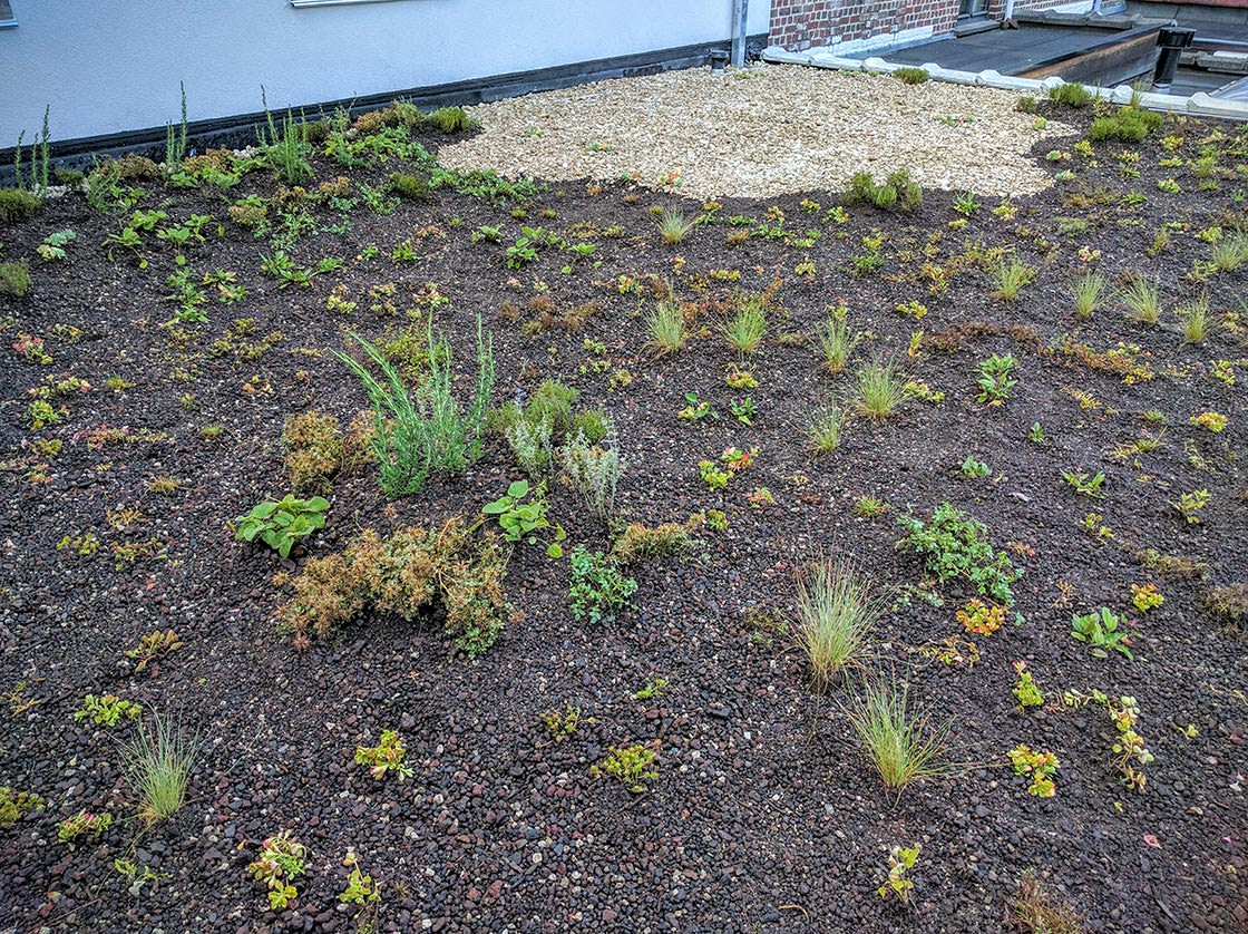 Natuurdak in Oudenaarde, foto 5