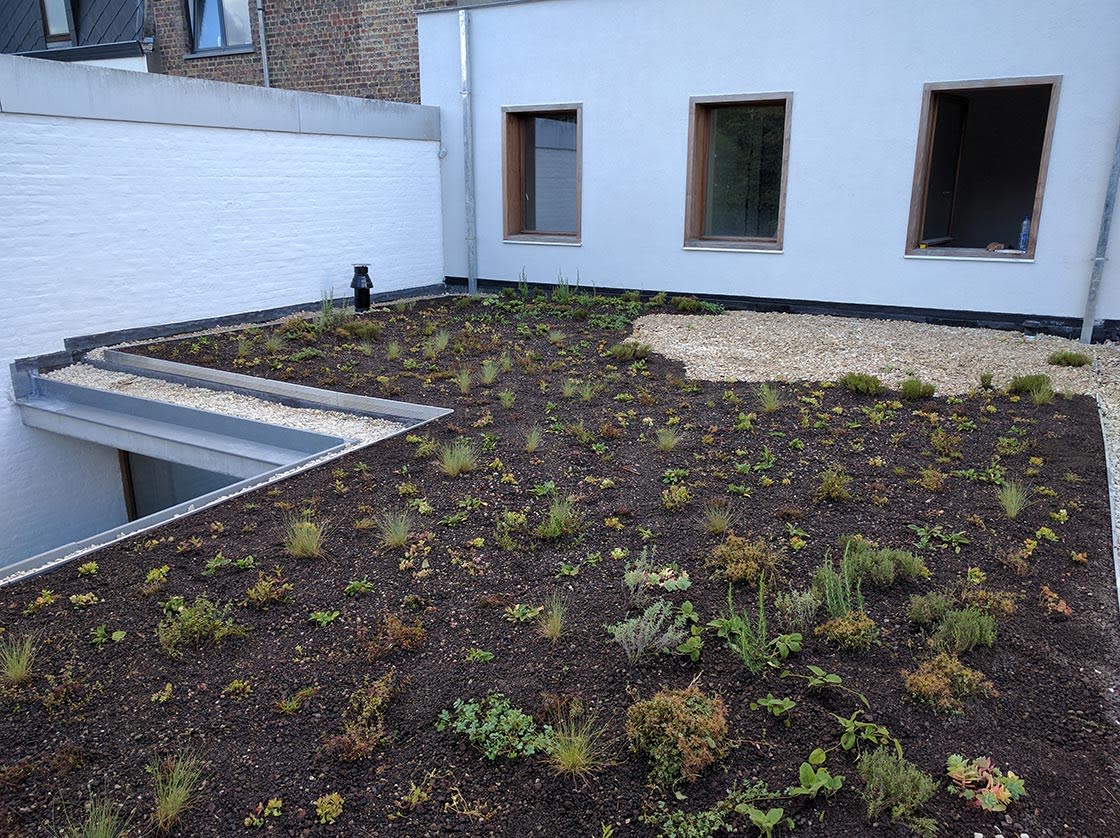 Natuurdak in Oudenaarde, foto 6