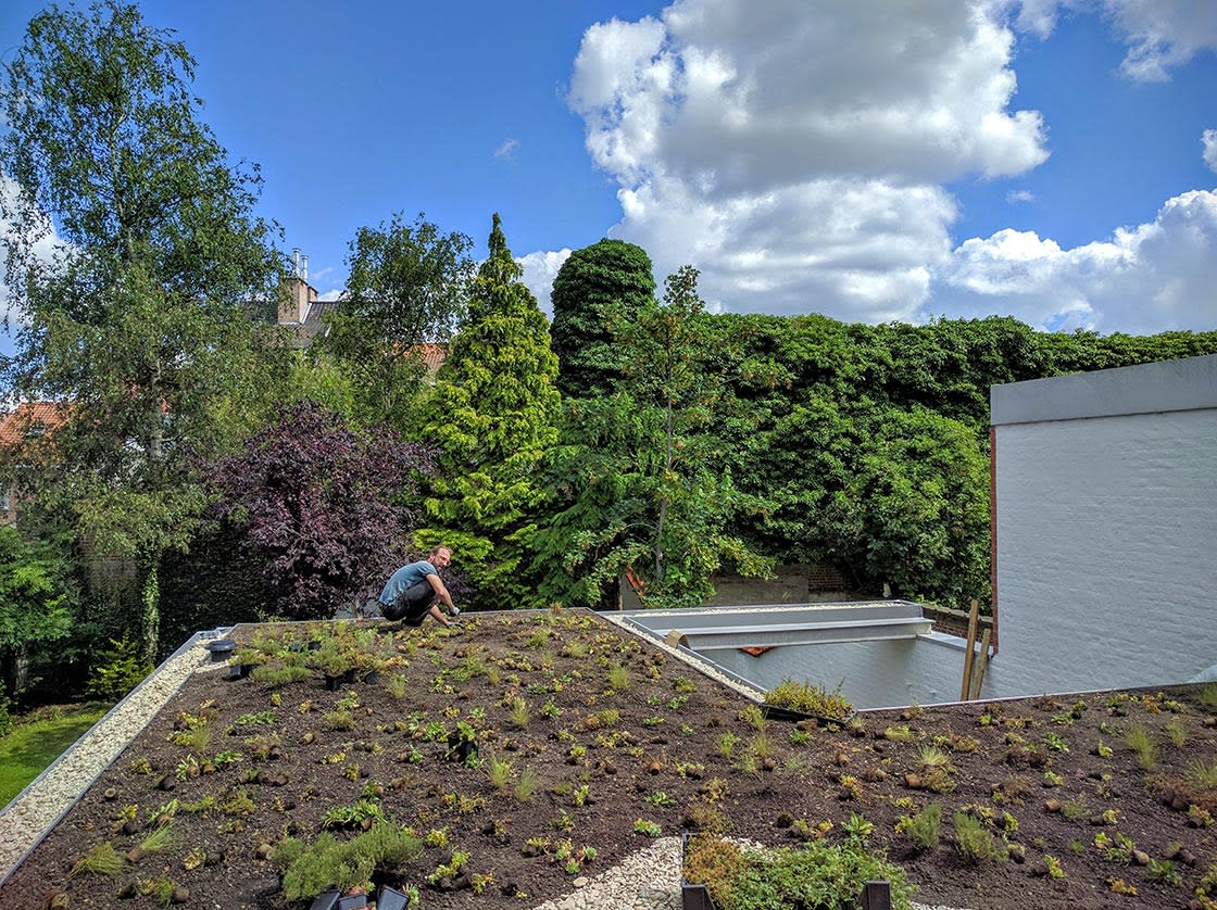 Natuurdak in Oudenaarde, foto 8