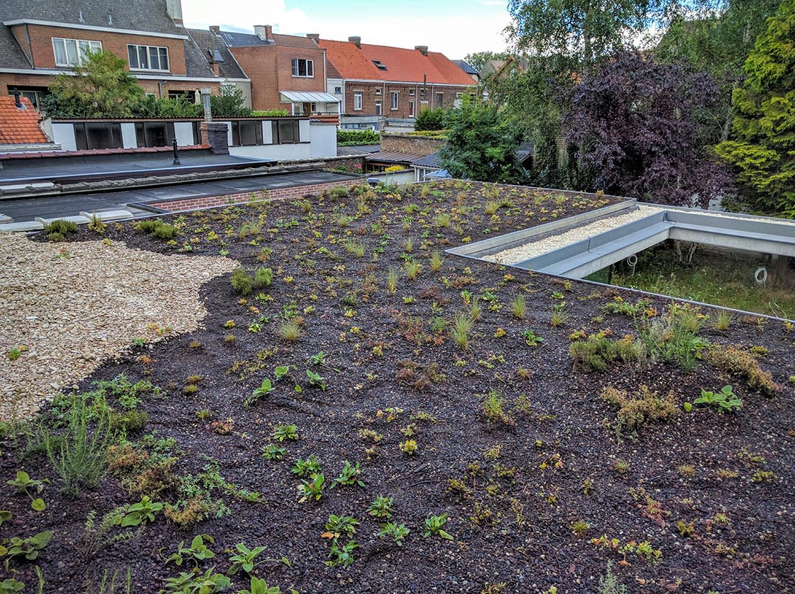 Natuurdak in Oudenaarde, foto 7