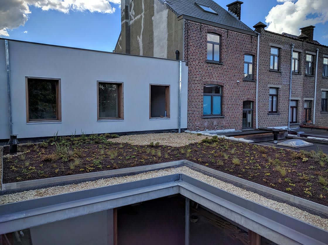 Natuurdak in Oudenaarde, foto 9