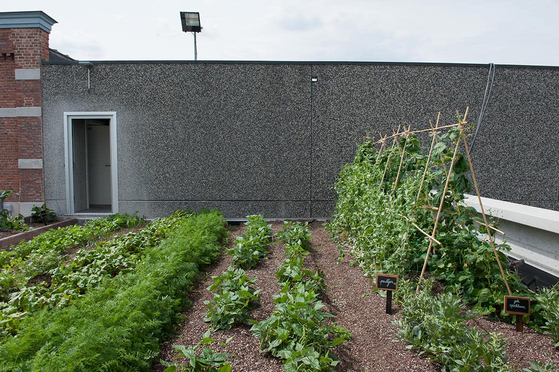 Rooffood, De Punt Gentbrugge, foto 10