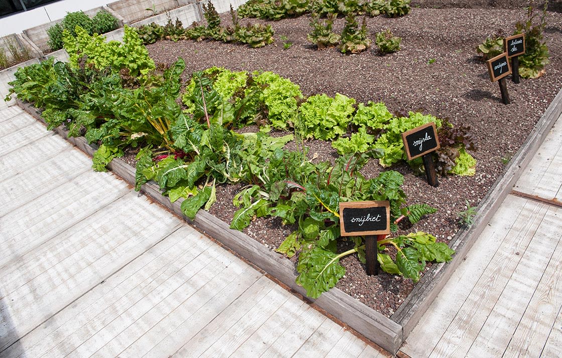 Rooffood, De Punt Gentbrugge, foto 12