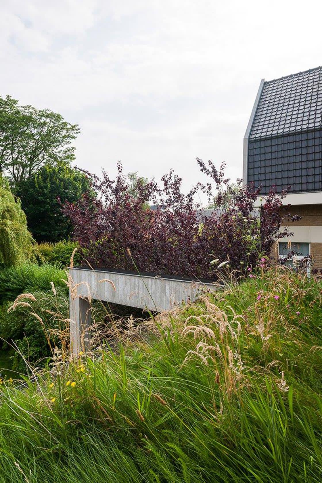 Semi-intensief groendak in Gent, foto 6