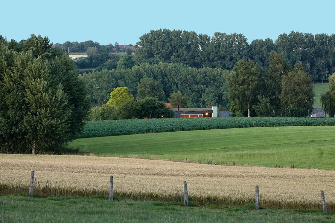 Natuurdak in Horebeke, foto 6