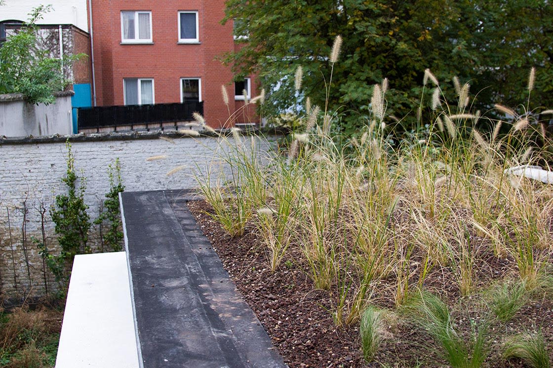 Semi-intensief groendak in Gent, foto 2