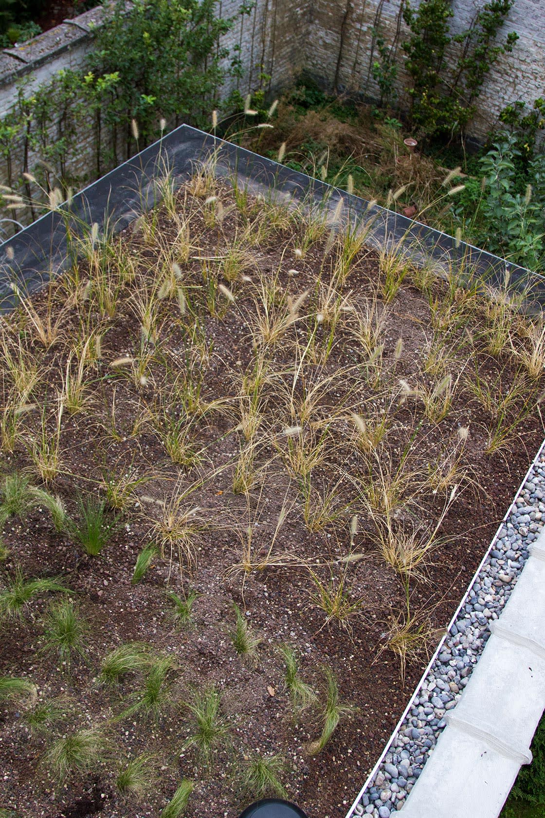 Semi-intensief groendak in Gent, foto 3