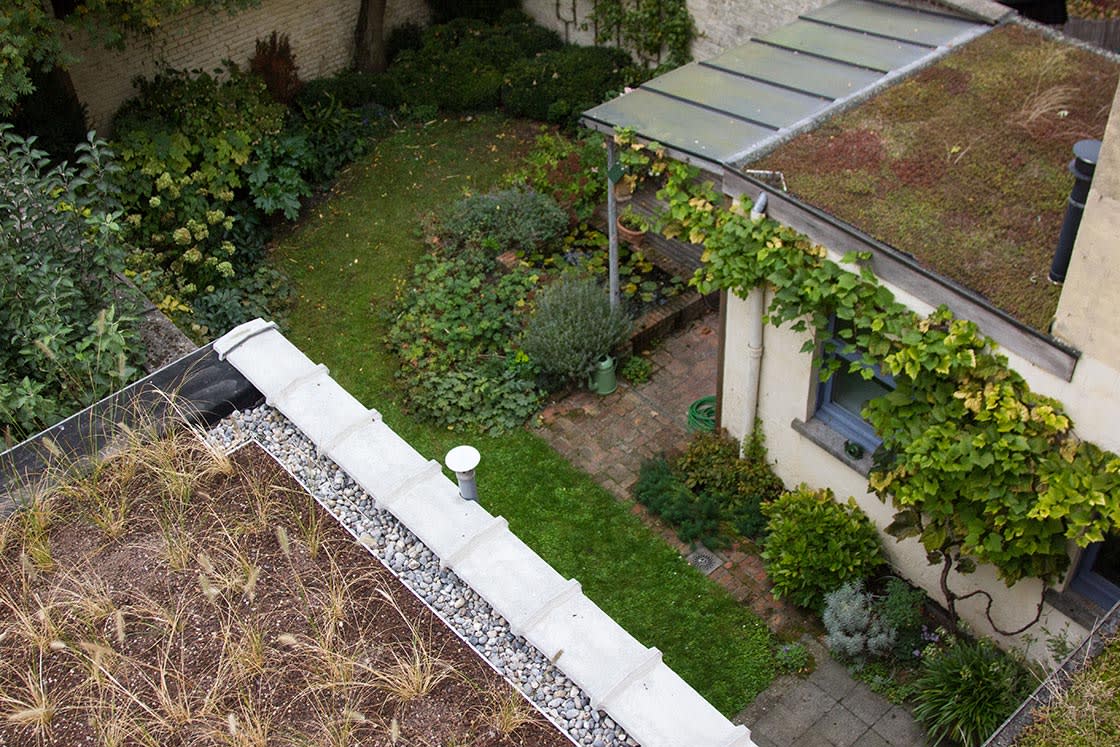 Semi-intensief groendak in Gent, foto 4