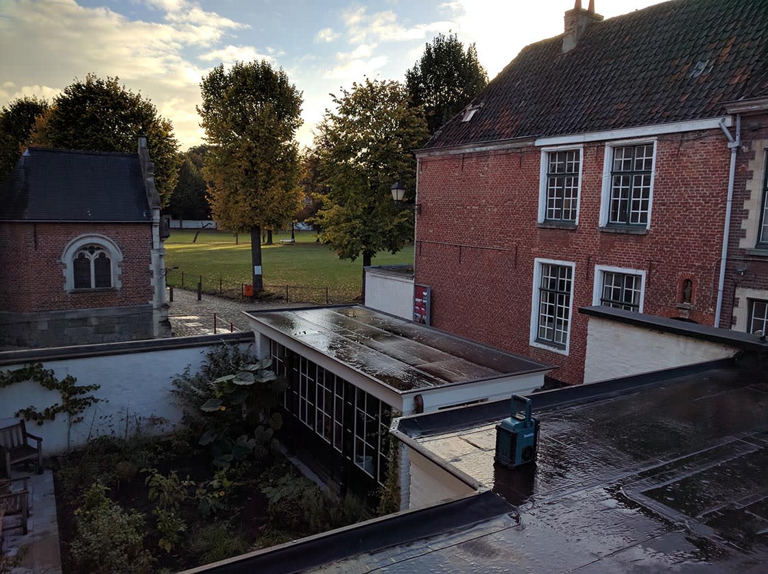 Sedumdak in Gent, foto 3