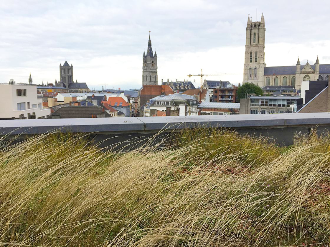 Natuurdak in Gent, foto 7