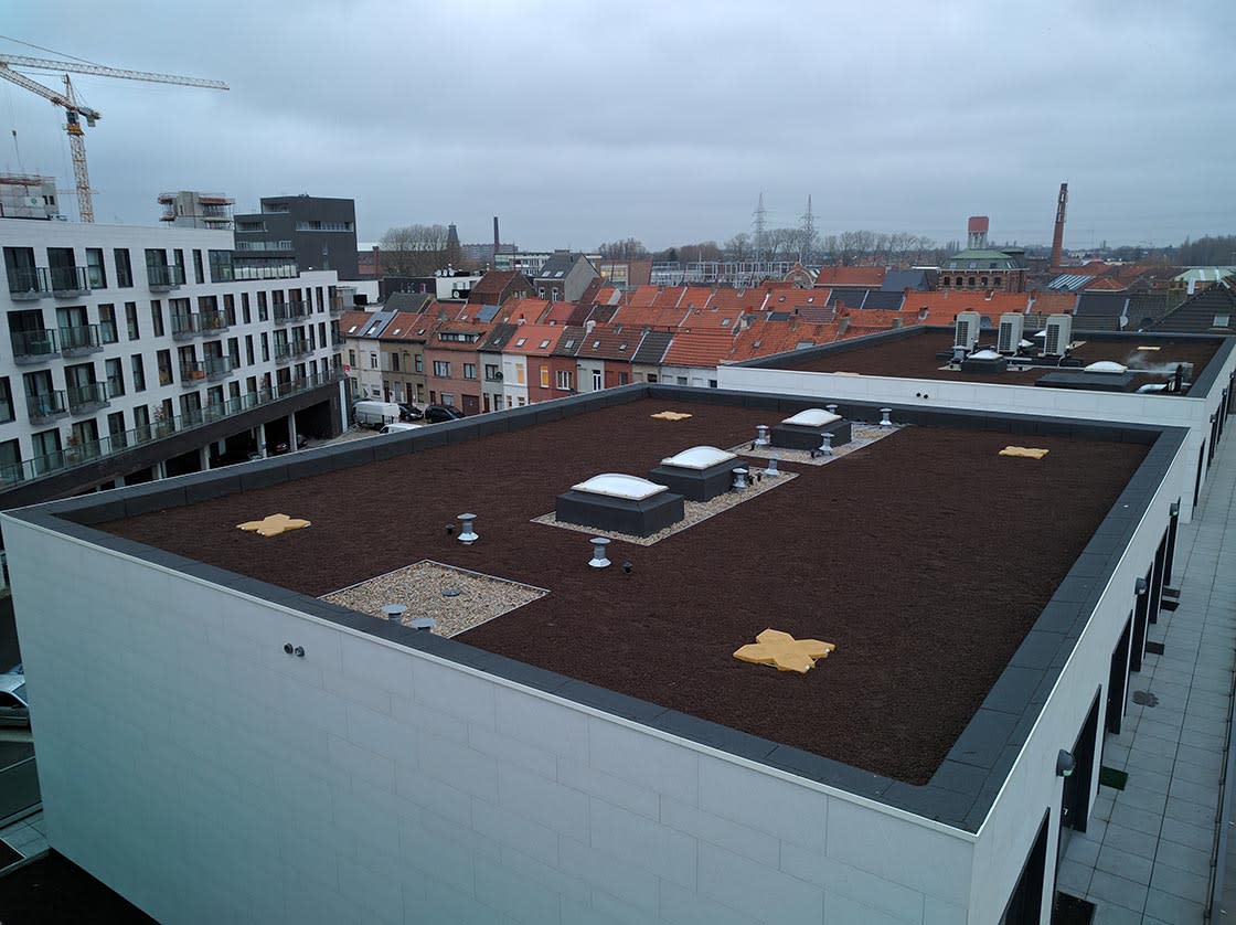 Daktuin in Gent, foto 6