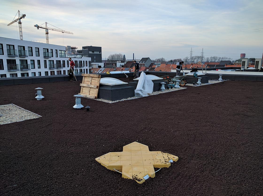 Daktuin in Gent, foto 11