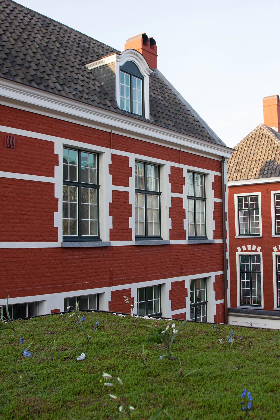 Sedumdak in Gent, foto 7