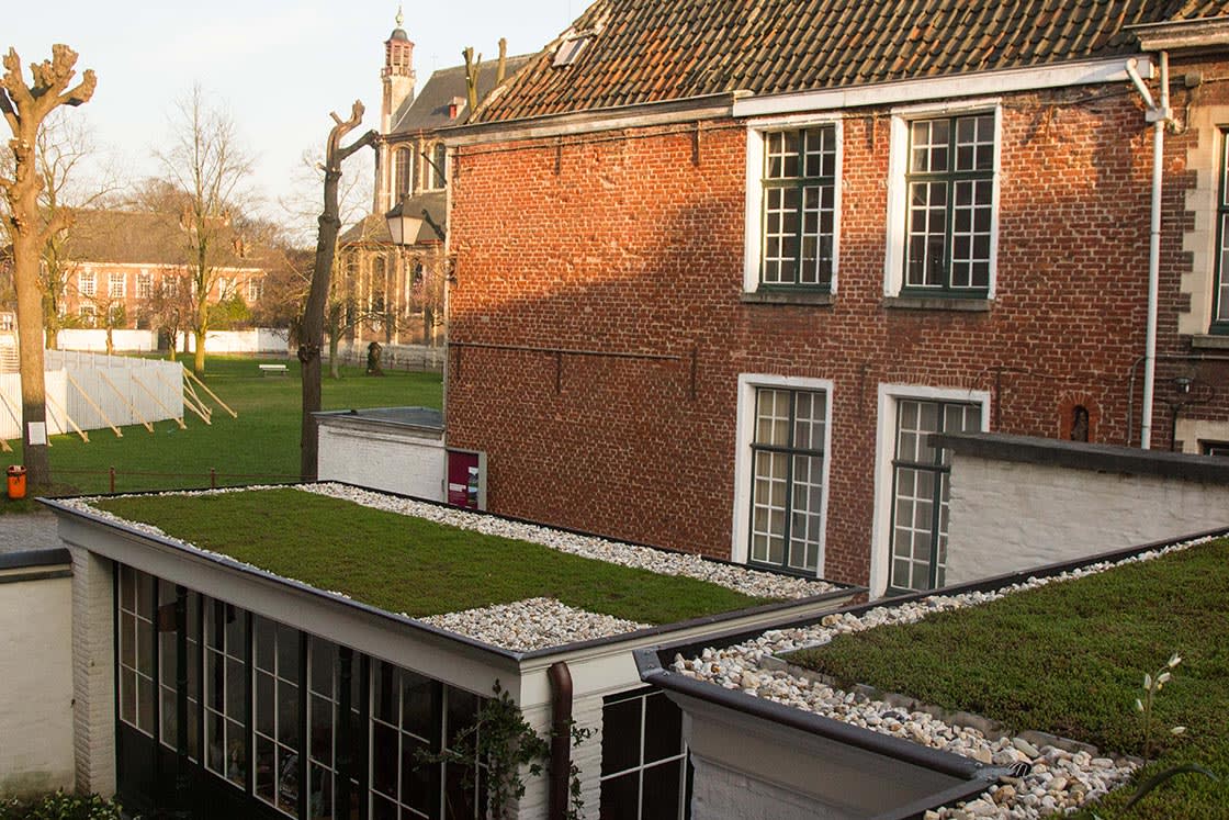 Sedumdak in Gent, foto 8
