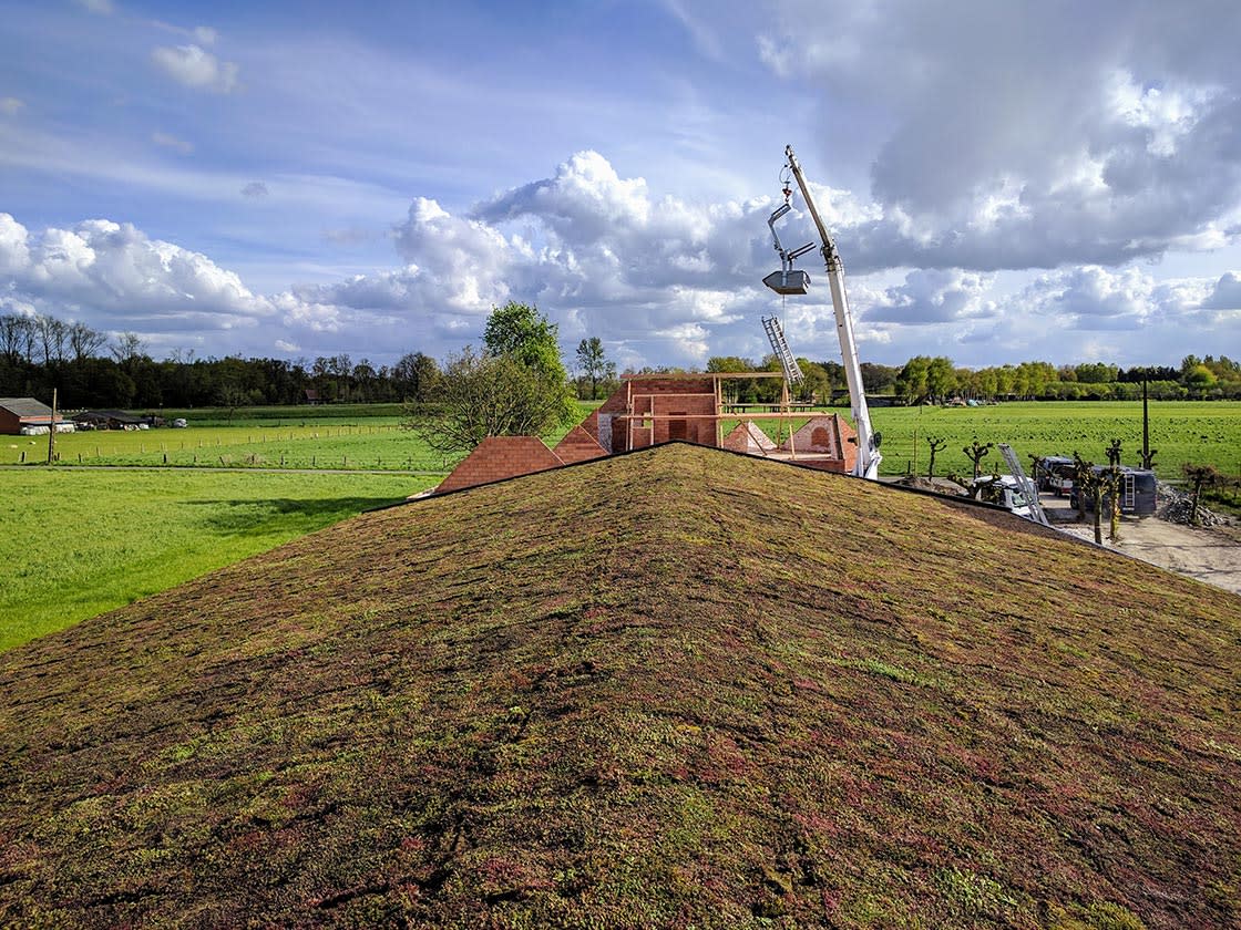 Sedumdak in Geel, foto 2