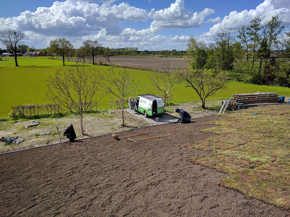 Sedumdak in Geel, foto 3