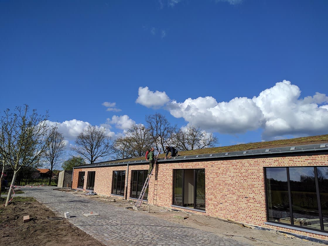 Sedumdak in Geel, foto 6
