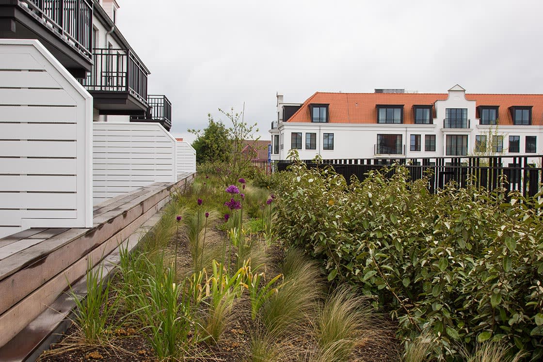 Duinenwater, Knokke-Heist, foto 6