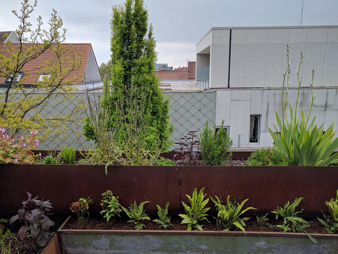 Semi-intensief groendak in Gent, foto 9