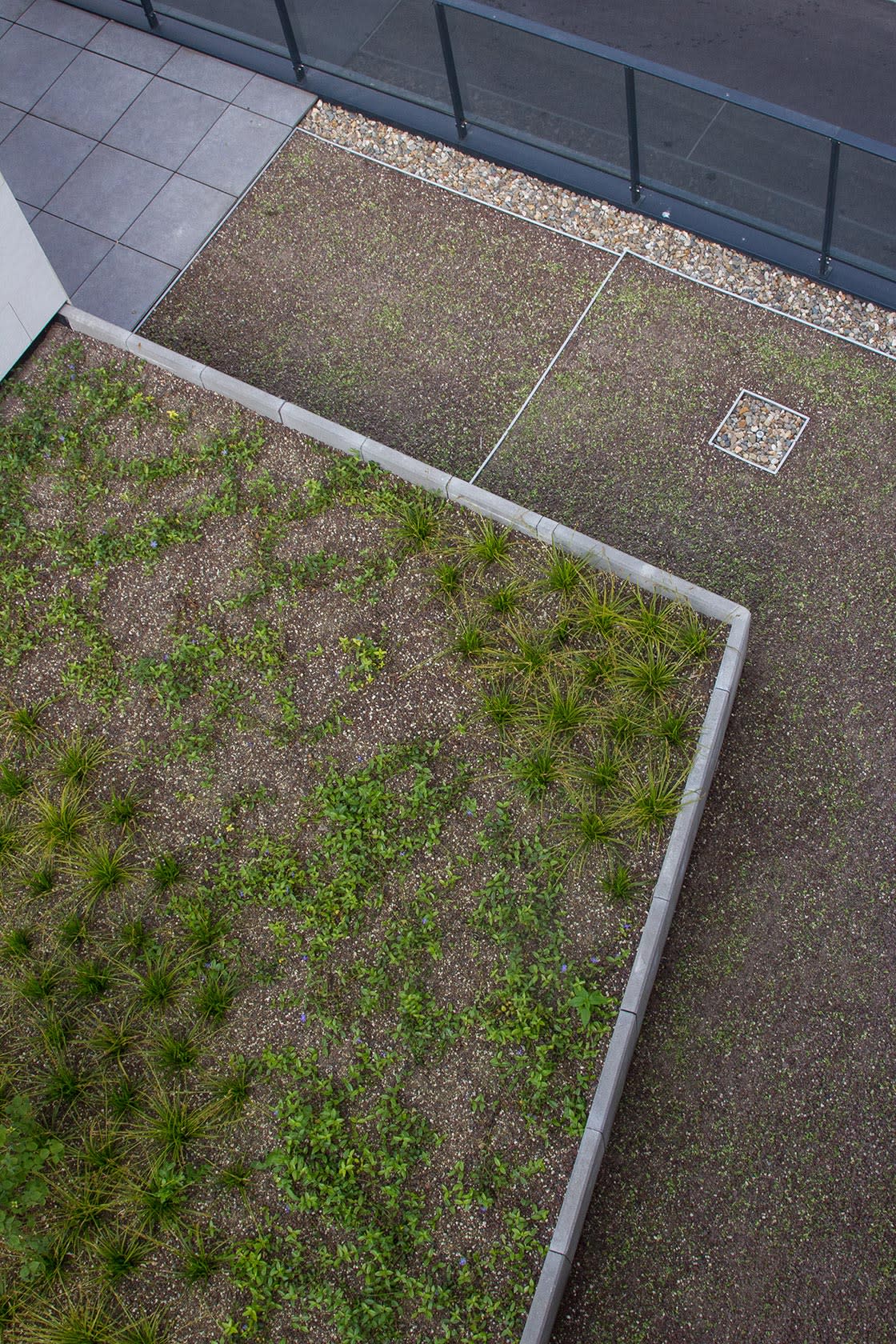 Daktuin in Gent, foto 3