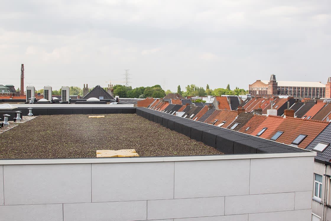 Daktuin in Gent, foto 4
