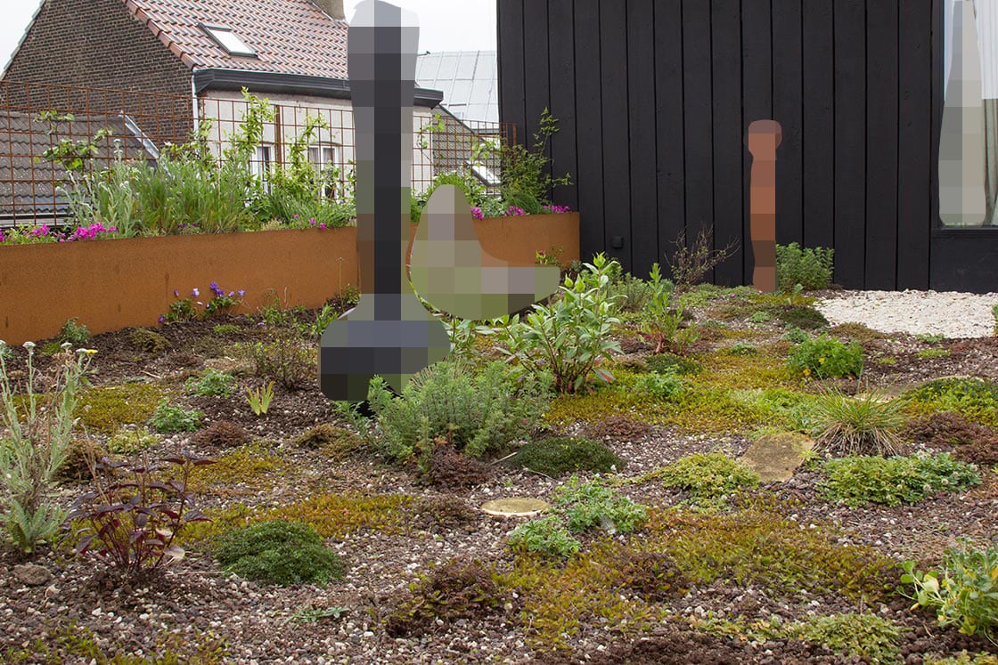 Semi-intensief groendak in Gent, foto 10