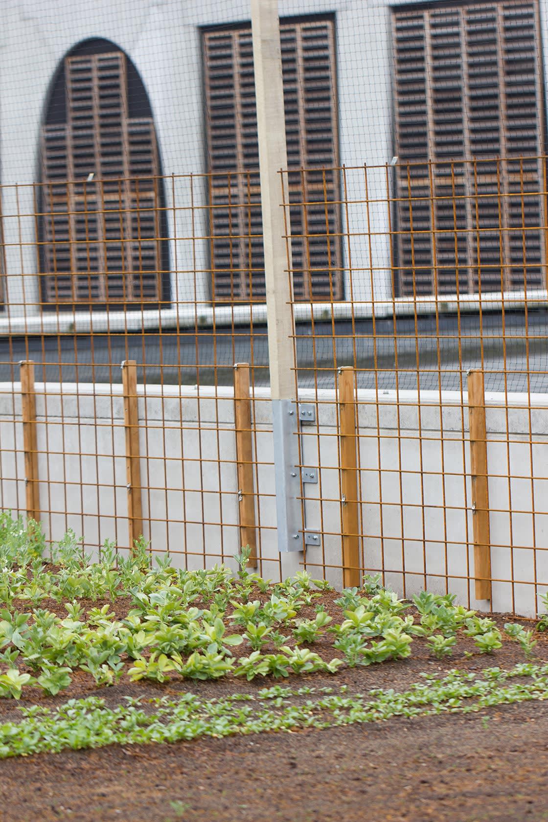 Foodmet, Abattoir Anderlecht, foto 28