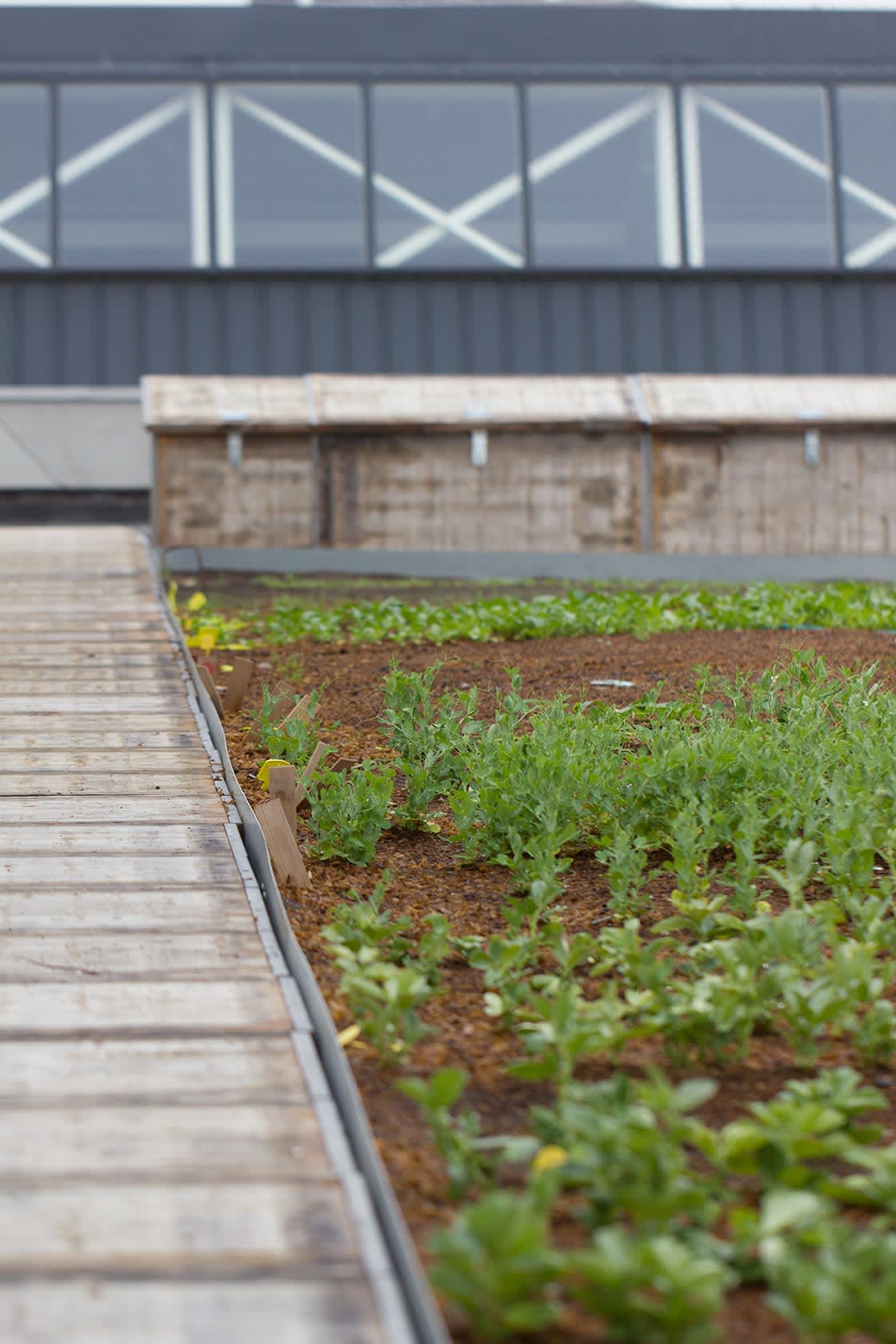 Foodmet, Abattoir Anderlecht, foto 29