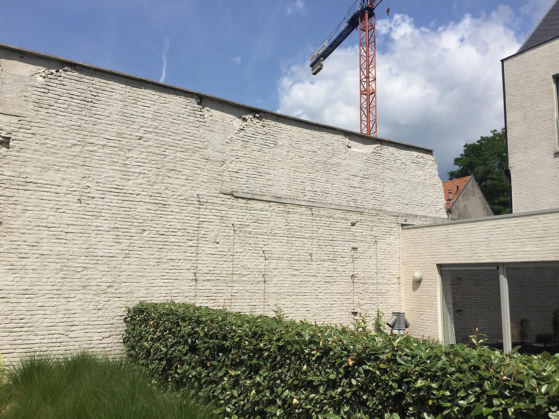 Groengevel in Gent, foto 4