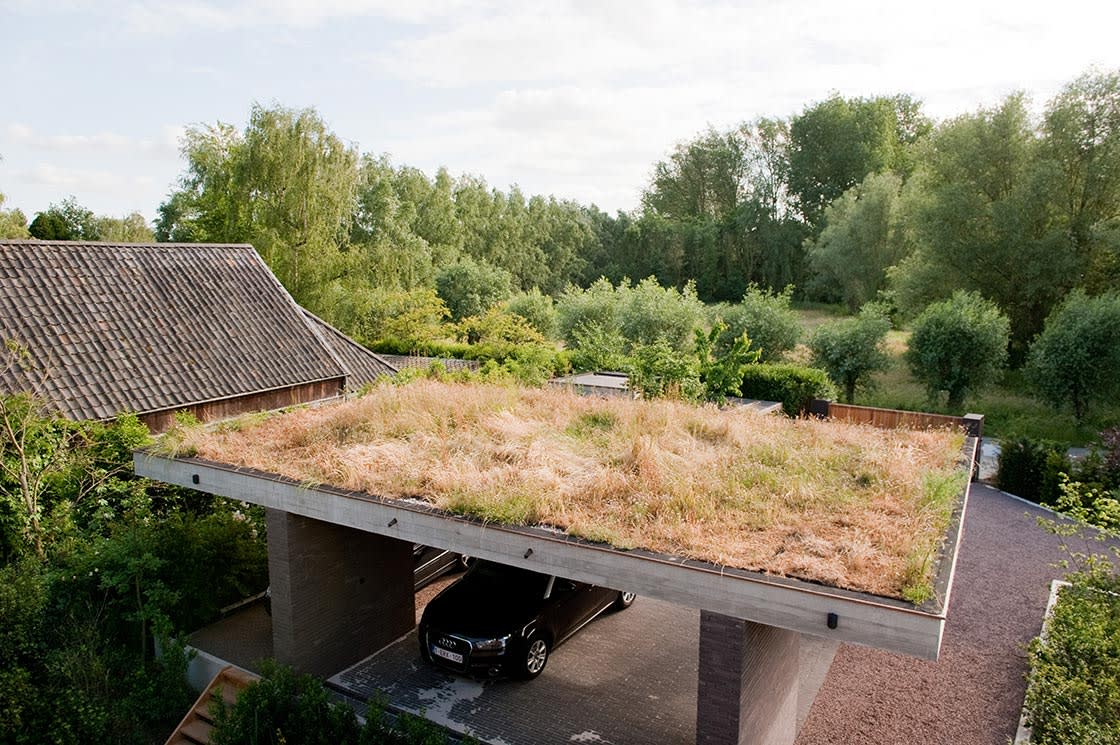 Natuurdak in Sint-Martens-Latem, foto 2