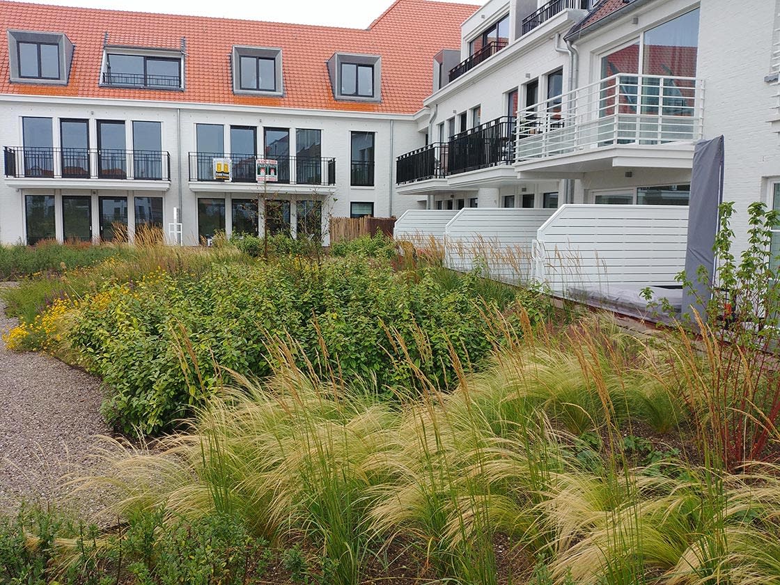 Duinenwater, Knokke-Heist, foto 2