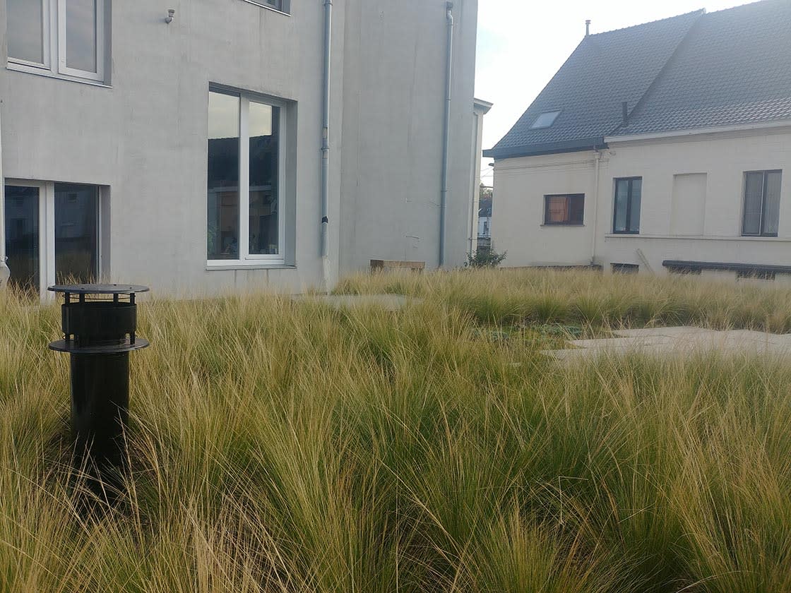 Semi-intensief groendak in Gent, foto 4
