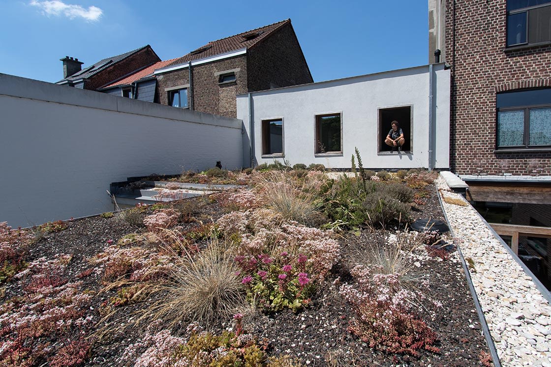 Natuurdak in Oudenaarde, foto 4