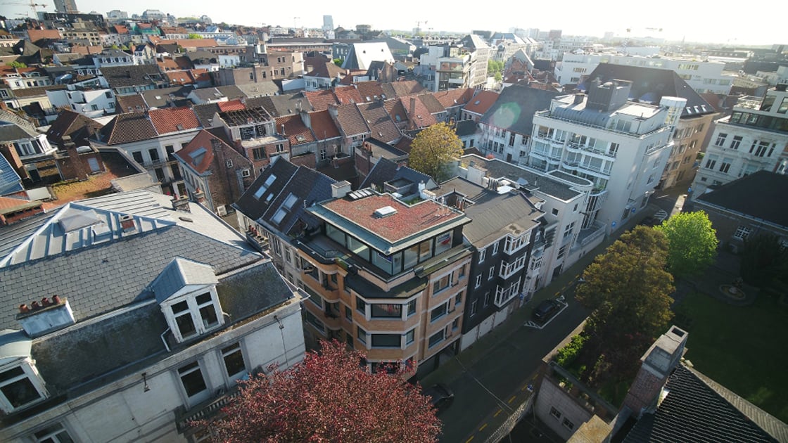 Semi-intensief groendak in Gent, foto 8