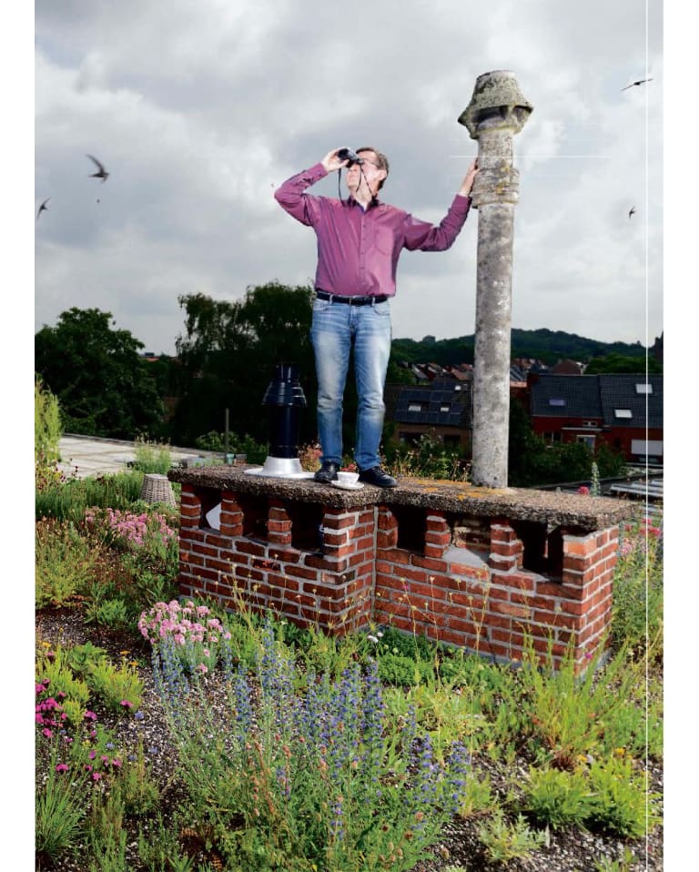 Semi-intensief groendak in Heverlee, foto 16
