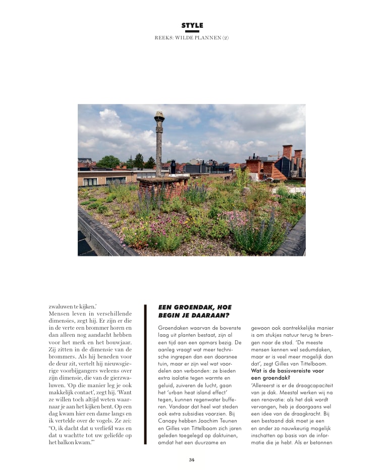 Semi-intensief groendak in Heverlee, foto 18